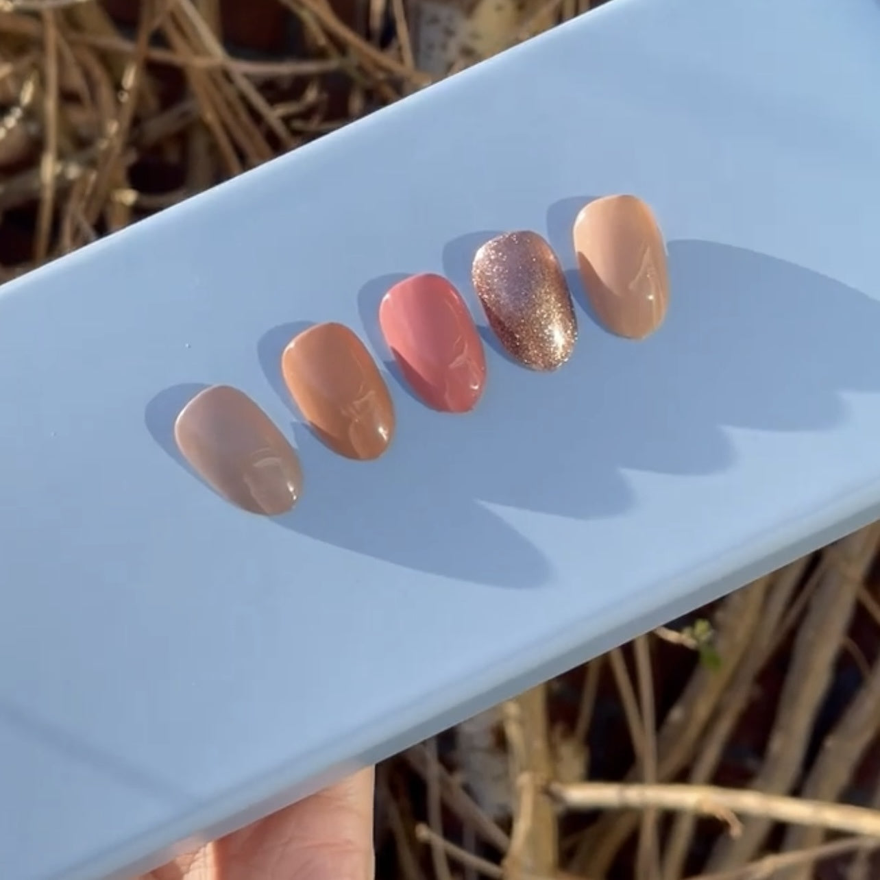 Desert Neutrals Gelpolish Collection 5pcs Color Box