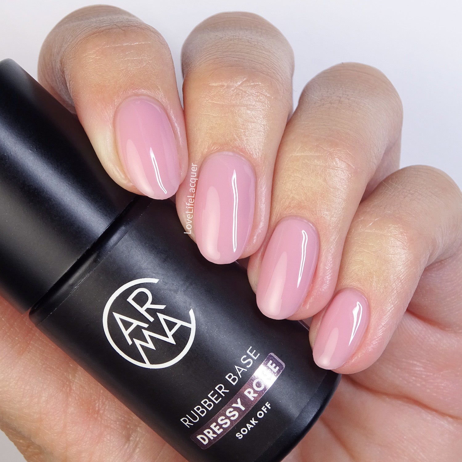 Rubber Base Dressy Rose