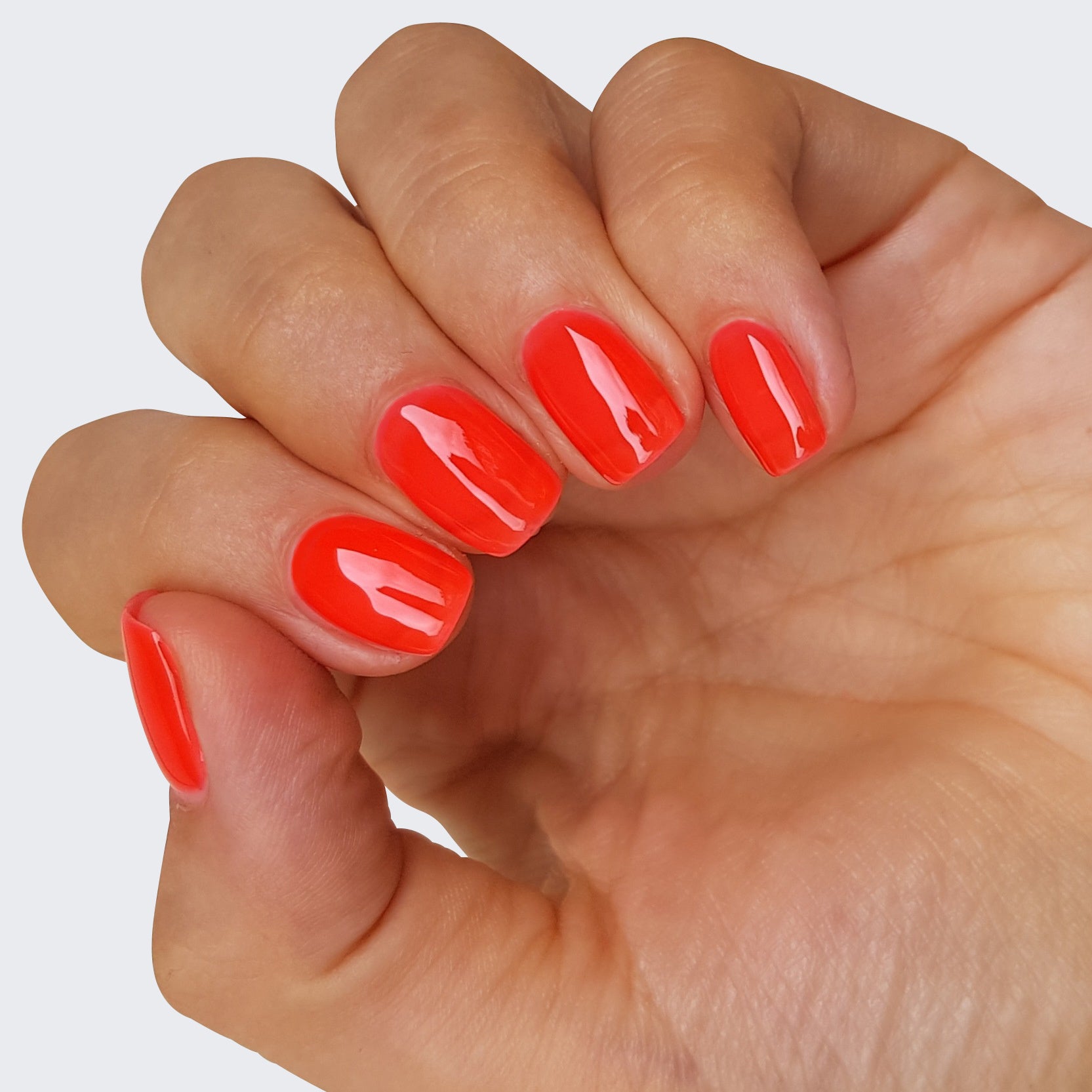 Summer Cruise Gelpolish 5pcs Set  (BACK IN SUMMER)